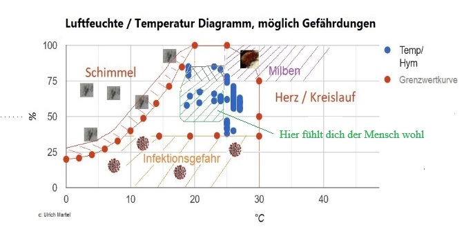 Bild4